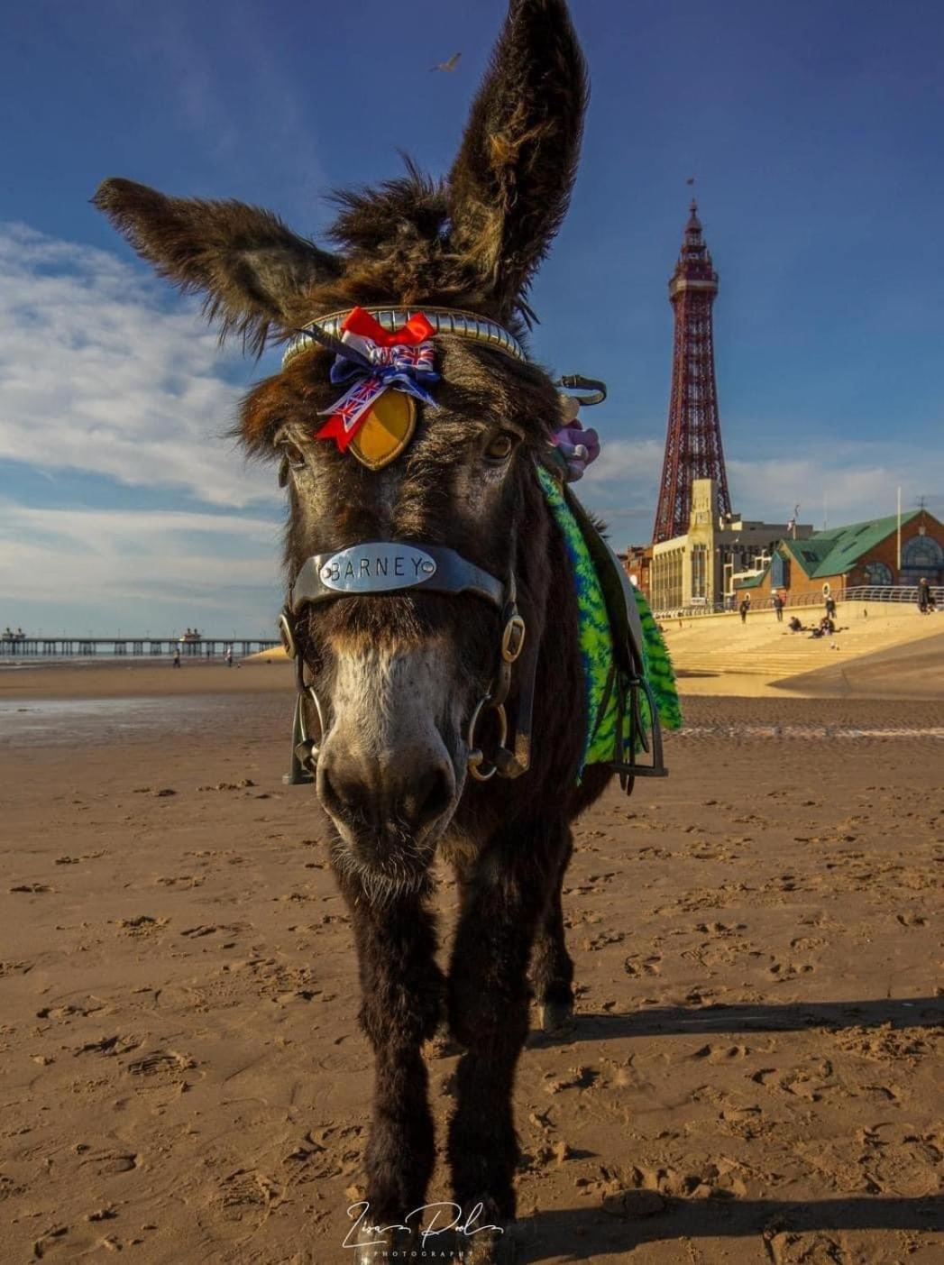 The Bailey Hotel Blackpool (Adults Only) エクステリア 写真